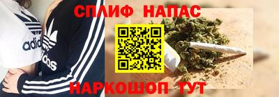 прущие крисы Будённовск